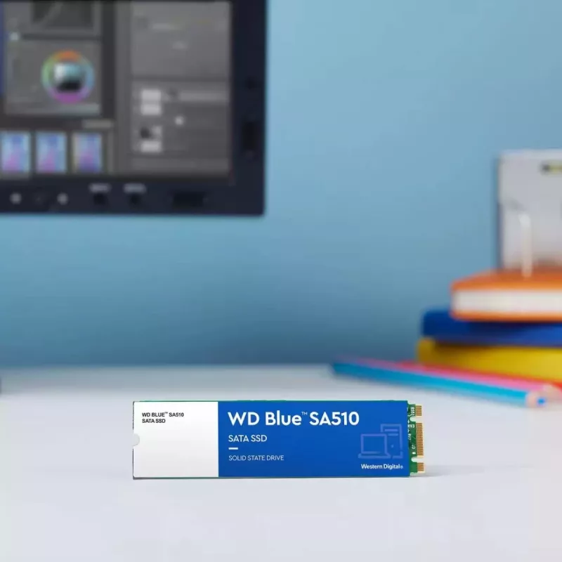 WESTERN DIGITAL SSD - WD Sinine SA510 - 2TB - SATA 6Gb/s - M.2 2280