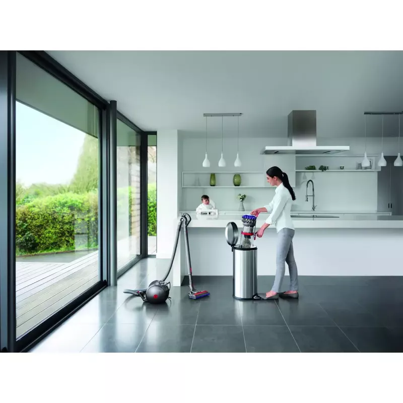 Silindertolmuimeja Dyson Big ball Parquet 2