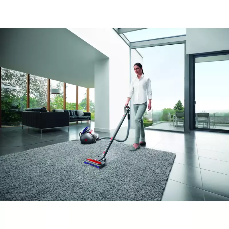Silindertolmuimeja Dyson Big ball Parquet 2