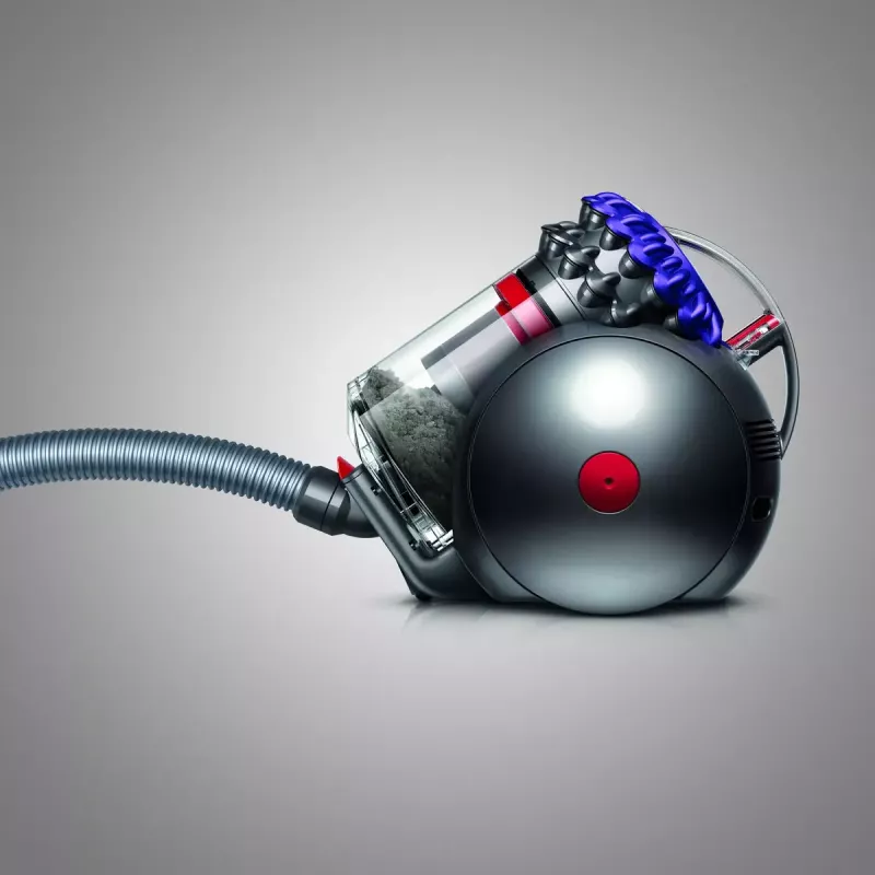 Silindertolmuimeja Dyson Big ball Parquet 2