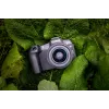 Canon EOS R8, 24.2 MP, 6000 x 4000 pikslit, CMOS, 4K Ultra HD, puutetundlik ekraan, must
