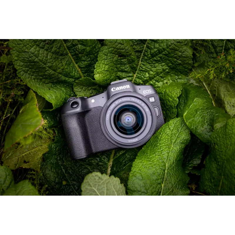 Canon EOS R8, 24.2 MP, 6000 x 4000 pikslit, CMOS, 4K Ultra HD, puutetundlik ekraan, must