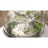 Lauablender Philips 5000 seeria Eco Conscious Edition HR2500/00