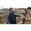 Bosch Pro Pruner Professional akutoitel murukäärid 2,5 cm 12 V liitiumioon (Li-Ion) sinine