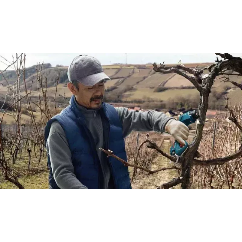 Bosch Pro Pruner Professional akutoitel murukäärid 2,5 cm 12 V liitiumioon (Li-Ion) sinine