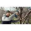 Bosch Pro Pruner Professional akutoitel murukäärid 2,5 cm 12 V liitiumioon (Li-Ion) sinine
