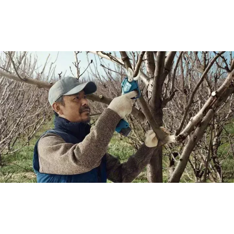 Bosch Pro Pruner Professional akutoitel murukäärid 2,5 cm 12 V liitiumioon (Li-Ion) sinine