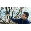 Bosch Pro Pruner Professional akutoitel murukäärid 2,5 cm 12 V liitiumioon (Li-Ion) sinine