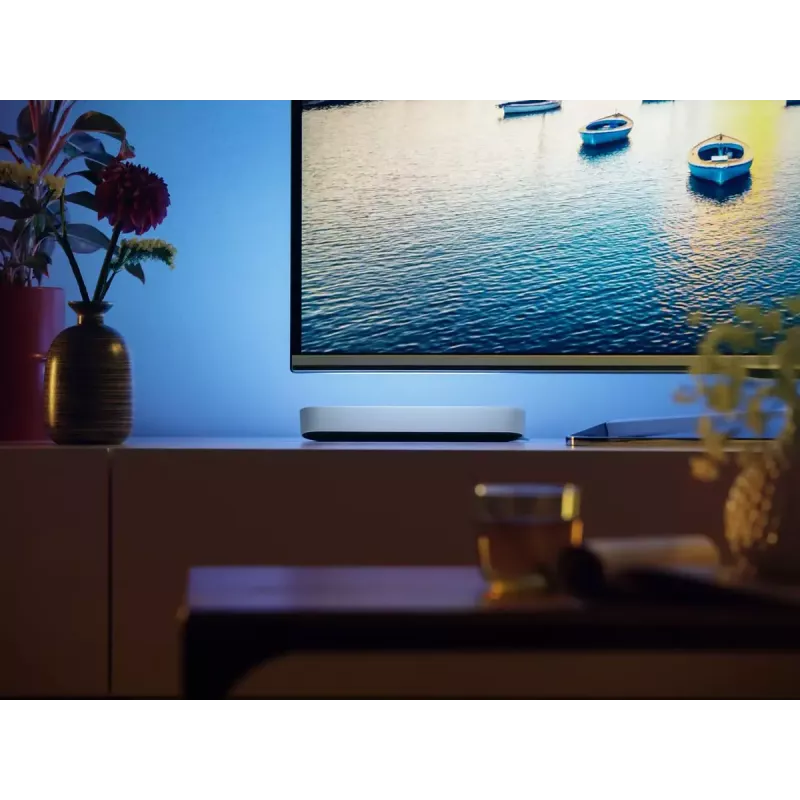 Philips Hue White and colour ambience Play valgusriba topeltpakk