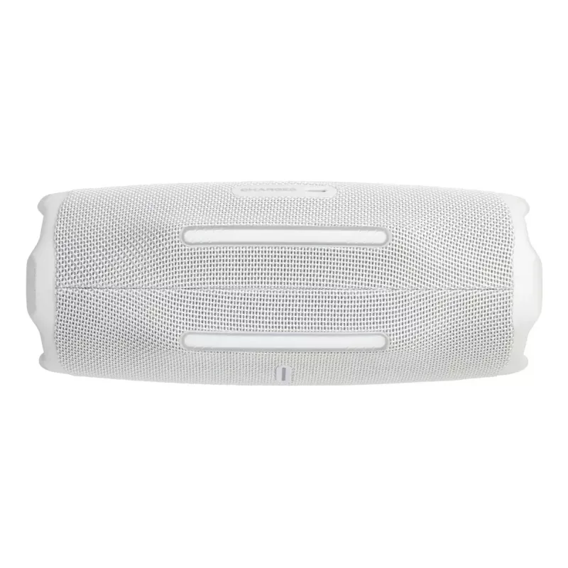Kaasaskantav kõlar JBL Charge 6 Valge