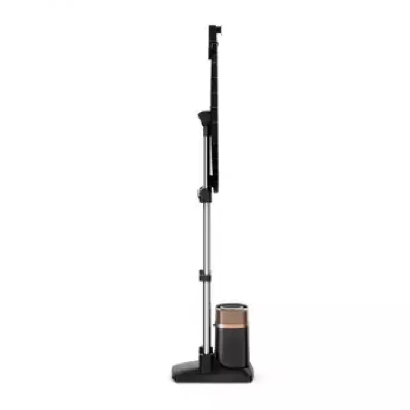 Aurutriikraud Tefal IXEO Power 2170 W 1,1 L must vask