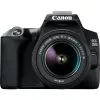 Canon EOS 250D + EF-S 18-55mm f/3.5-5.6 III peegelkaamera komplekt 24,1 MP CMOS 6000 x 4000 pikslit must