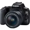 Canon EOS 250D + EF-S 18-55mm f/3.5-5.6 III peegelkaamera komplekt 24,1 MP CMOS 6000 x 4000 pikslit must