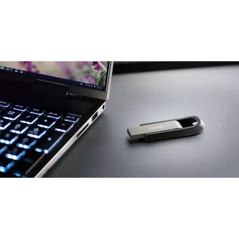 WESTERN DIGITAL SanDisk Ultra Extreme GO - 256GB USB-mälupulk - USB 3.2