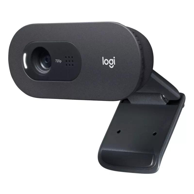 LOGITECH C505e veebikaamera USB must