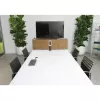 LOGITECH Conferencecam Connect All-in-one Videokonverents Hõbedane