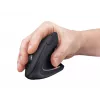 Trust Verto hiir Kontor Paremakäeline RF-juhtmeta Optiline 1600 DPI