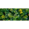 Xerox Genuine ® C310 Color Printer/C315 Color Multifunction Printer Must High capacity toonerkassett (8000 lehekülge) - 006R04364