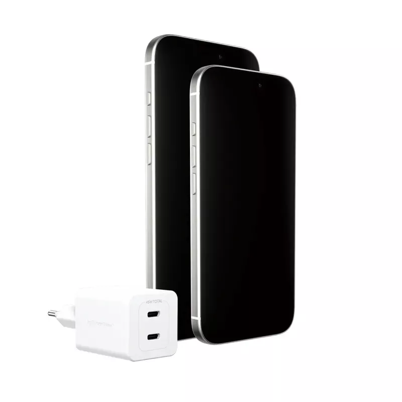 PanzerGlass empower™ by ® Turbo 45W Charger incl. 2 x USB-C | EU Plug | Silver Valge