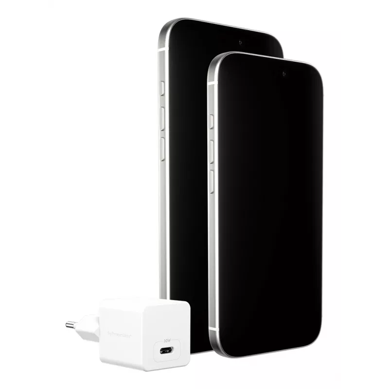 PanzerGlass empower™ by ® Turbo 30W Charger Single USB-C | EU Plug | Silver Valge