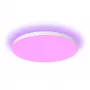 Philips Hue White and colour ambience Datura laelamp suur, nutikas laelamp, Bluetooth/Zigbee, valge, LED, plastik, mittevahetatav(ad) pirn(id)