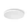 Philips Hue White and colour ambience Datura laelamp suur, nutikas laelamp, Bluetooth/Zigbee, valge, LED, plastik, mittevahetatav(ad) pirn(id)