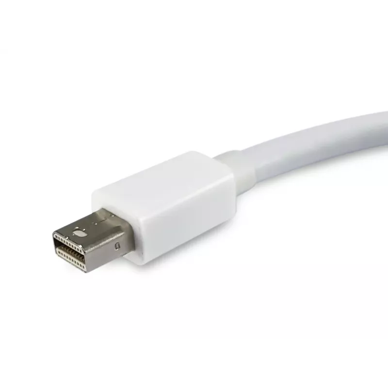 Mini DisplayPort DisplayPorti adapter Equip 133440