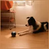Jälgimisrobot Enabot EBO AIR 2 — mobiilne kodukaamera, roosa