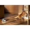 Turvakaamera Enabot Family Robot IP Camera ROLA PetPal WH287304
