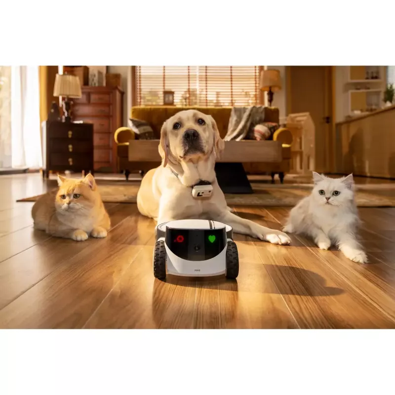 Turvakaamera Enabot Family Robot IP Camera ROLA PetPal WH287304