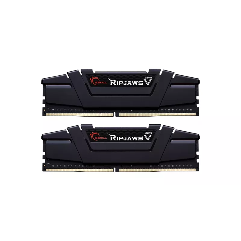 G.SKILL 32GB DDR4 3600 Mt/s CL16-19-19-39 (2x16GB)