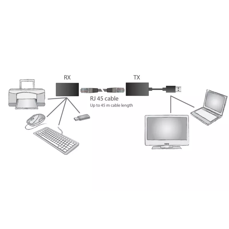 DIGITUS USB 1.1 pikendaja Cat5/5e/6 kaabli kaudu