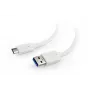 GEMBIRD USB 3.0 AM kuni Type-C kaabel (AM/CM) 1 m - valge