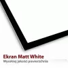 Projektsiooniekraan ART ER T100 4:3