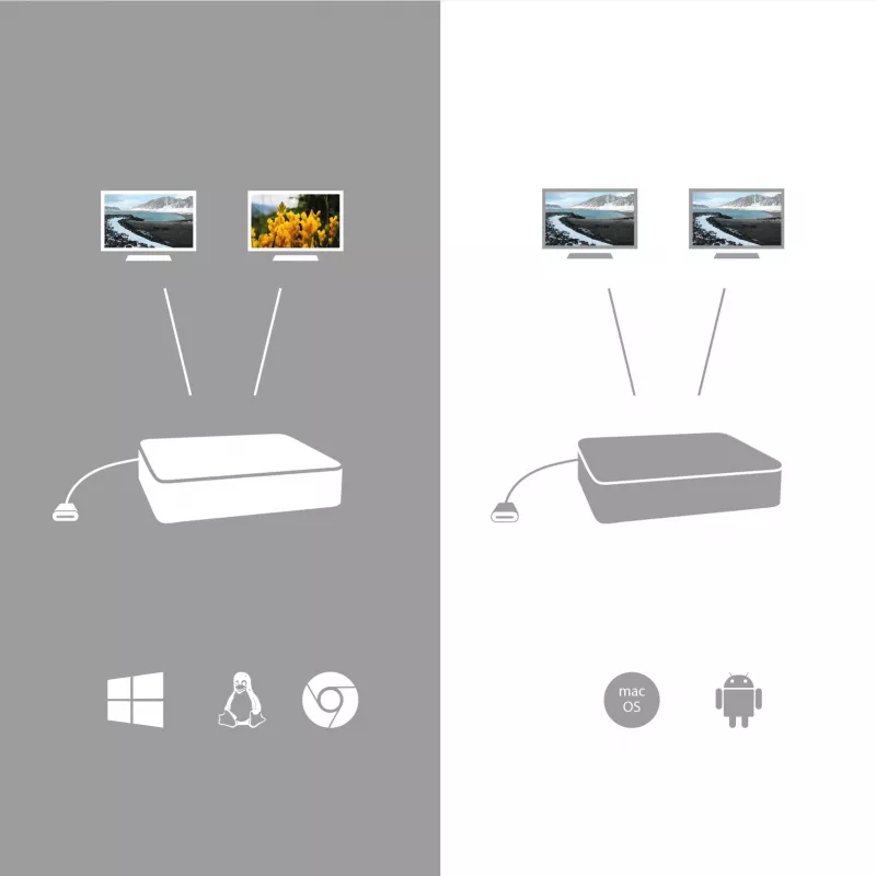 i-tec USB-C 3.1 Dual 4K DP videoadapter