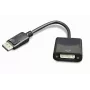 GEMBIRD DisplayPort–DVI-adapterkaabel – must