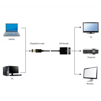 GEMBIRD DisplayPort–DVI-adapterkaabel – must