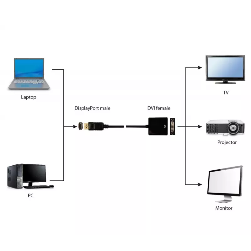 GEMBIRD DisplayPort–DVI-adapterkaabel – must