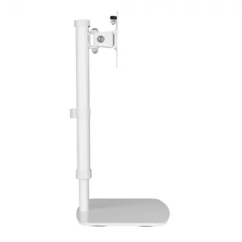 Techly ICA-LCD 260 monitori kinnitus / alus 68,6 cm (27 tolli) Lauaarvuti valge