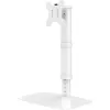Techly ICA-LCD 260 monitori kinnitus / alus 68,6 cm (27 tolli) Lauaarvuti valge