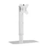Techly ICA-LCD 260 monitori kinnitus / alus 68,6 cm (27 tolli) Lauaarvuti valge