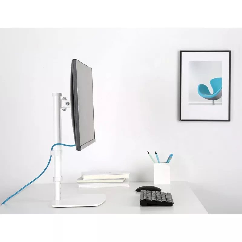 Techly ICA-LCD 260 monitori kinnitus / alus 68,6 cm (27 tolli) Lauaarvuti valge