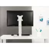 Techly ICA-LCD 260 monitori kinnitus / alus 68,6 cm (27 tolli) Lauaarvuti valge