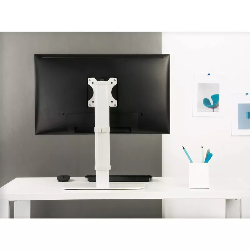Techly ICA-LCD 260 monitori kinnitus / alus 68,6 cm (27 tolli) Lauaarvuti valge