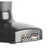 Techly ICA-LCD 514 monitori kinnitus / alus 68,6 cm (27 tolli) Laua Must