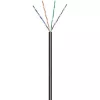 Techly ITP7-UTP-0100LO võrgukaabel Must 100 m Cat5e U/UTP (UTP)