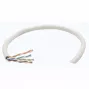 Intellinet võrk Bulk Cat6 kaabel, 23 AWG, Solid Wire, 305m, hall, CCA, U/UTP, Box