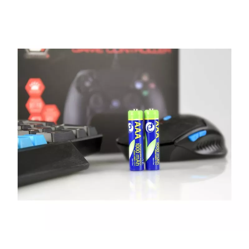 GEMBIRD AAA patareid Ni-MH laetavad 1000mAh 2 tk