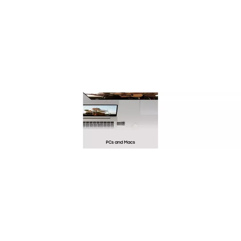 Samsung MUF-128BE USB-mälupulk 128 GB USB Type-A 3.2 Gen 1 (3.1 Gen 1) Hõbedane