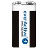 9 V leelispatarei everActive EV6LR61-PRO, 9 V, 650 mAh, 26,4×48,5×16 mm, 1 tk